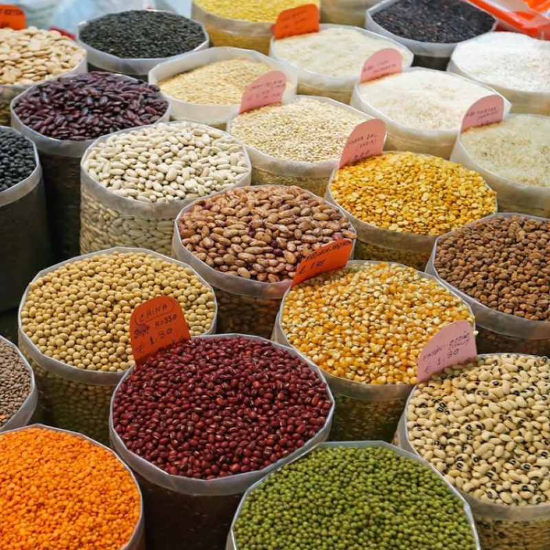 Fresh Grains Field in Hanang